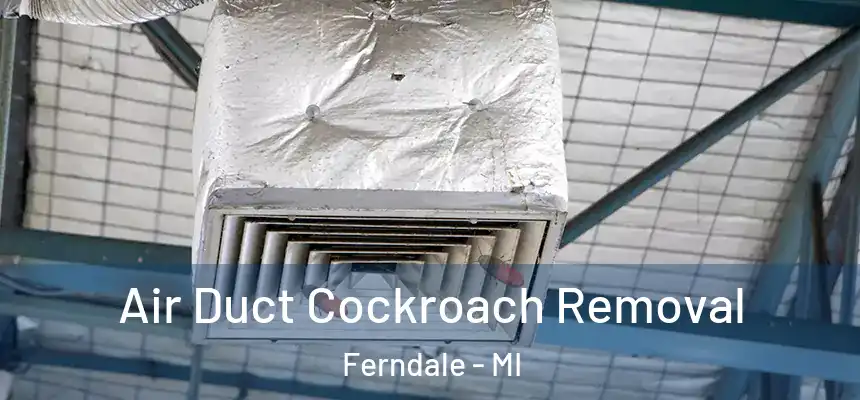 Air Duct Cockroach Removal Ferndale - MI