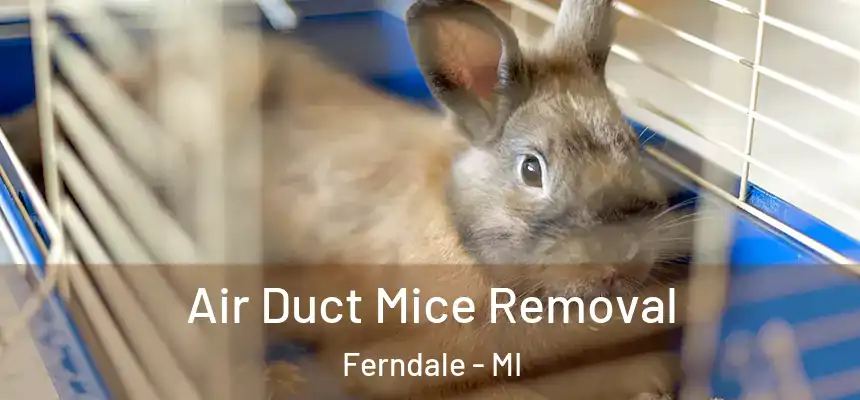 Air Duct Mice Removal Ferndale - MI