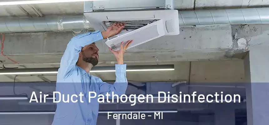 Air Duct Pathogen Disinfection Ferndale - MI