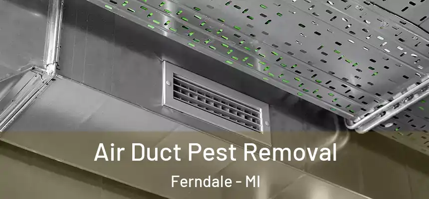 Air Duct Pest Removal Ferndale - MI