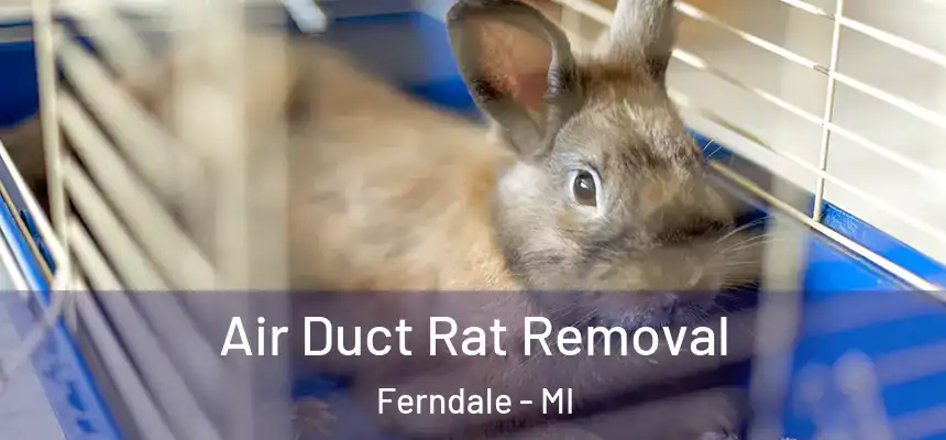  Air Duct Rat Removal Ferndale - MI