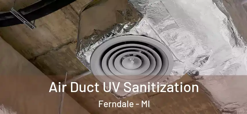  Air Duct UV Sanitization Ferndale - MI