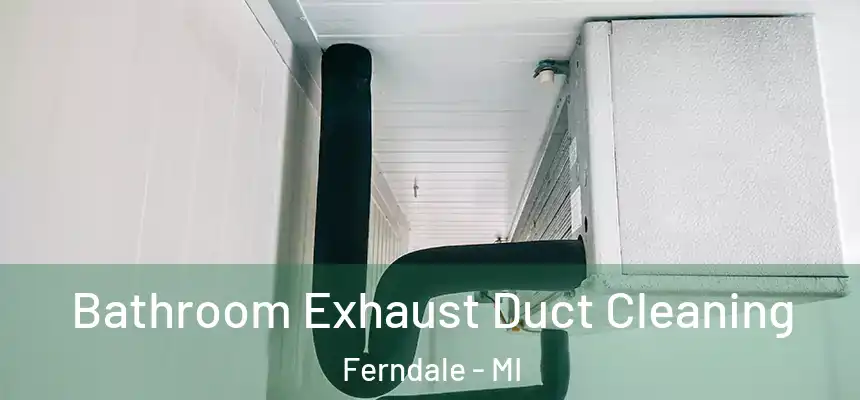 Bathroom Exhaust Duct Cleaning Ferndale - MI