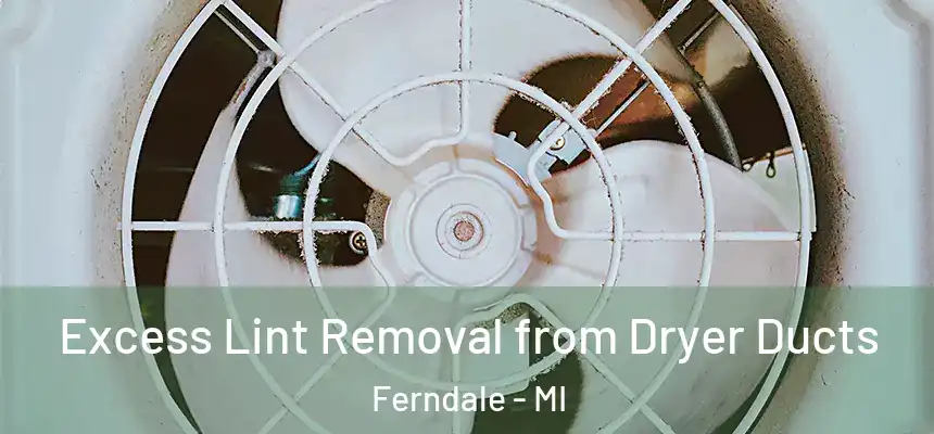  Excess Lint Removal from Dryer Ducts Ferndale - MI