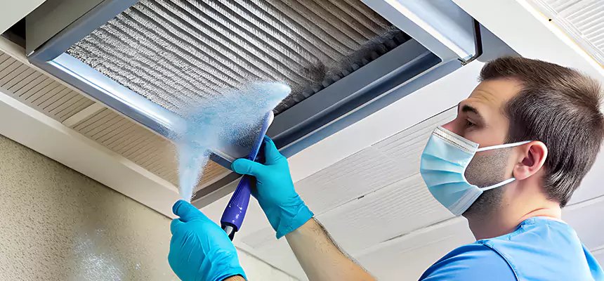 Proactive Dryer Vent & Auxiliary Duct Pollen Cleanup in Ferndale, MI