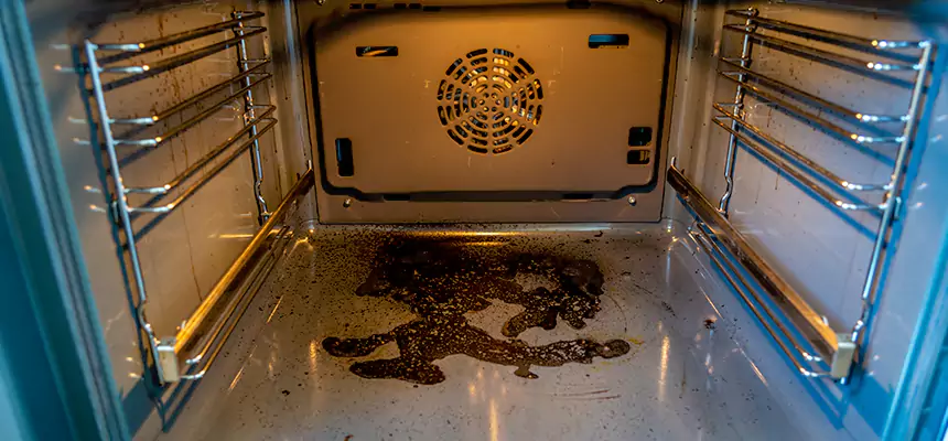 Our Dryer Vent Mold Cleaning Services in Ferndale, MI