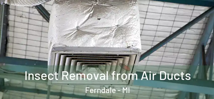 Insect Removal from Air Ducts Ferndale - MI