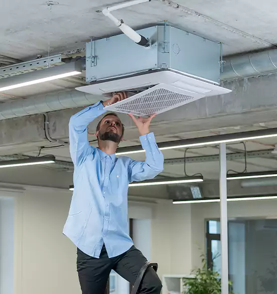 Advanced Rodent Droppings In Vents in Ferndale, MI