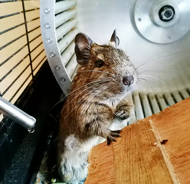 Why Homeowners & Businesses Trust Us Ferndale, MI