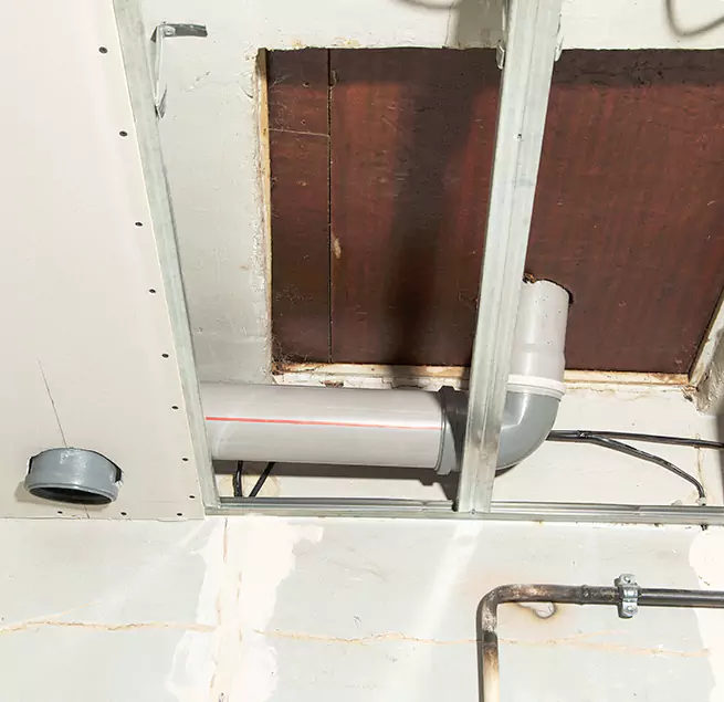 Why Homeowners & Businesses Trust Us in Ferndale, MI?