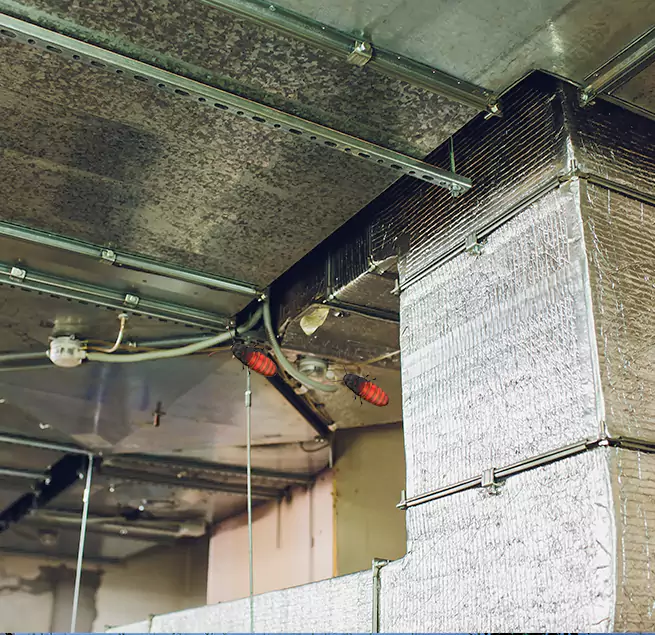 Why Homeowners & Businesses Trust Us Ferndale, MI?