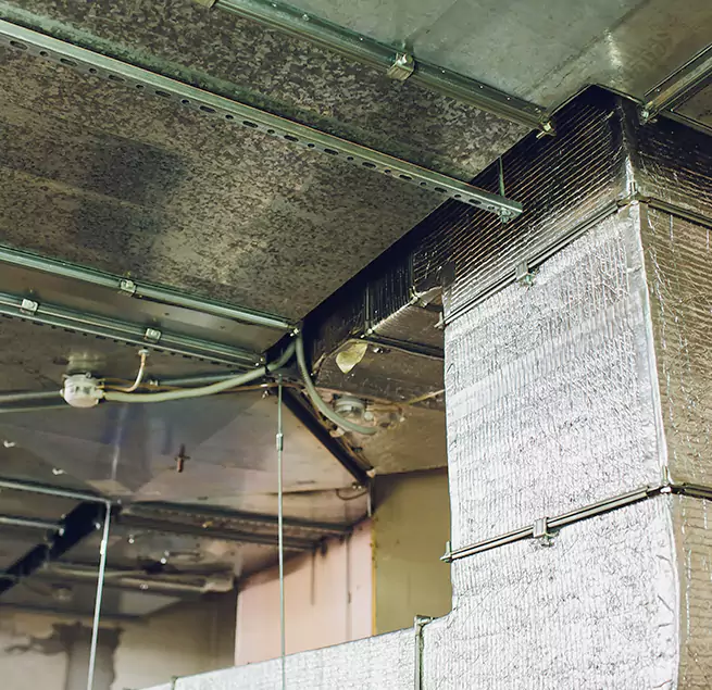 Why Homeowners & Businesses Trust Us in Ferndale, MI?