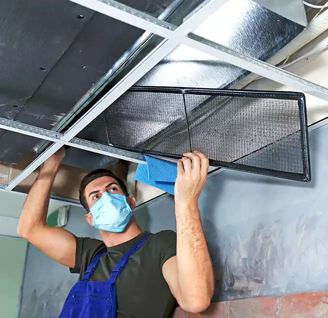 Why Homeowners Businesses Trust Us in Ferndale, MI