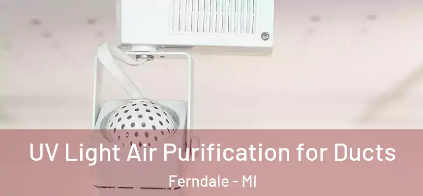  UV Light Air Purification for Ducts Ferndale - MI